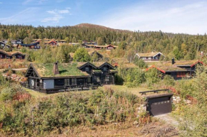 Storsten 695 - Trysil